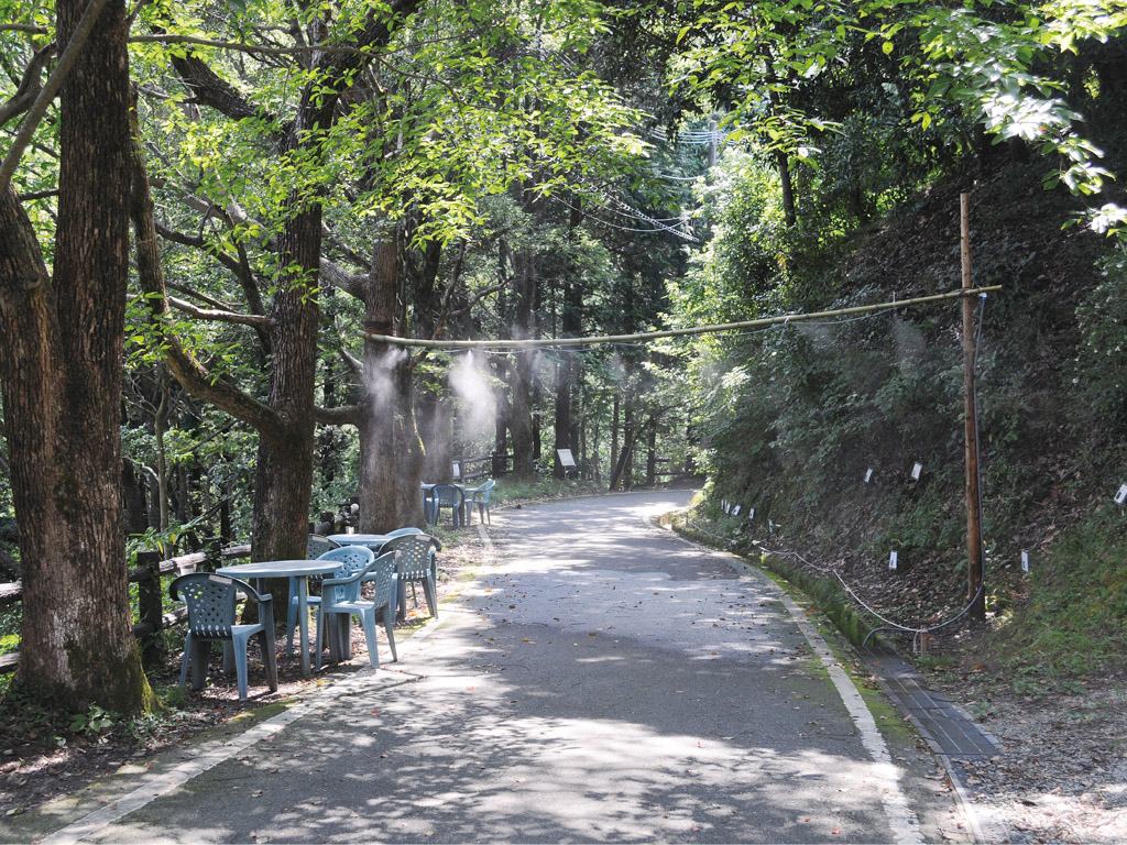 野生の広場