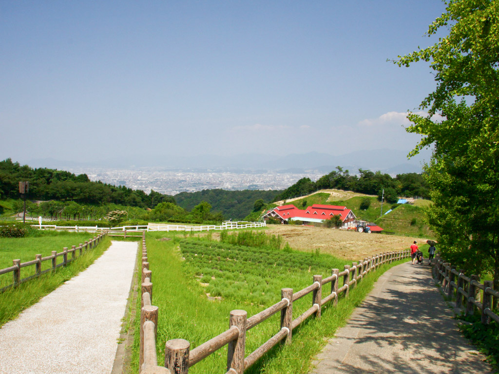 里地里山