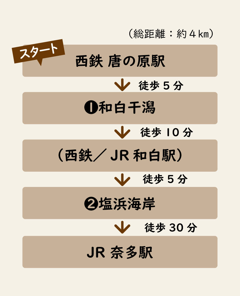 和白干潟おすすめコース