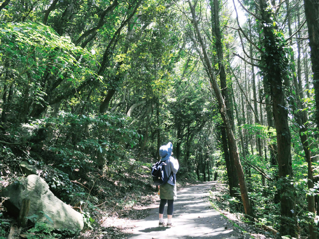 自然探勝路