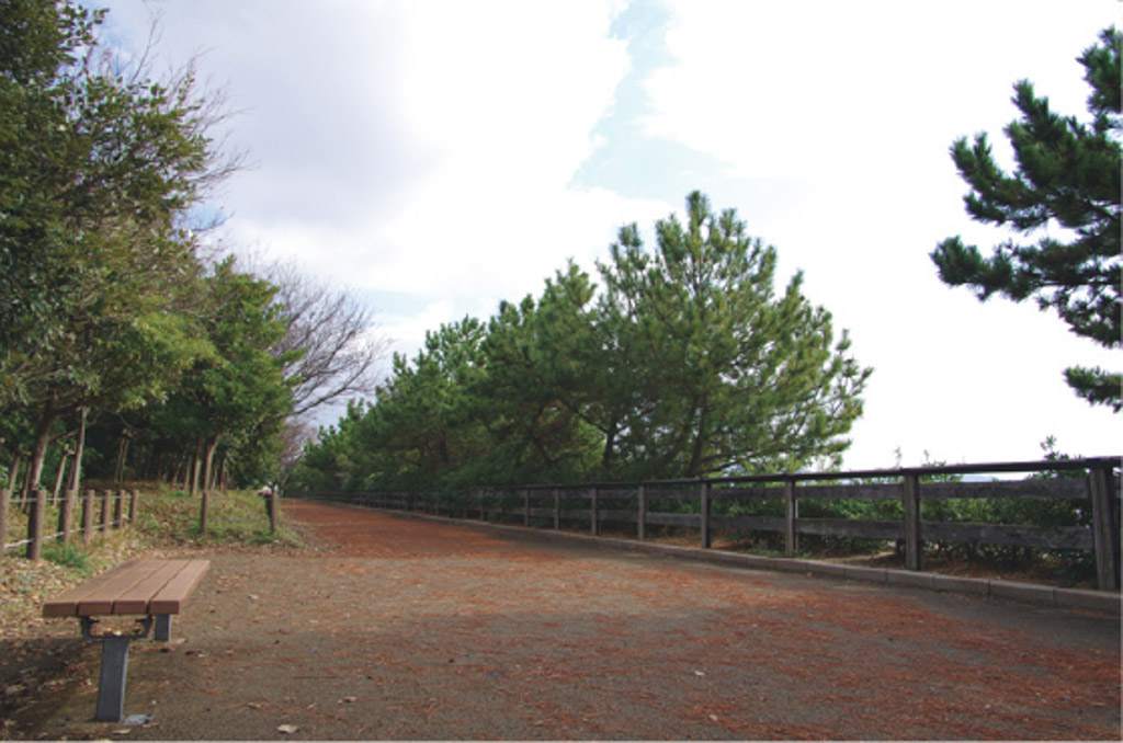 塩浜海岸遊歩道