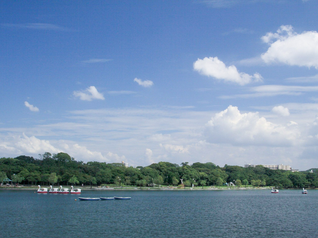 大濠公園の池