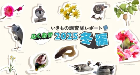 5ff039122f83ab4e1b6da2b43a98d7fb