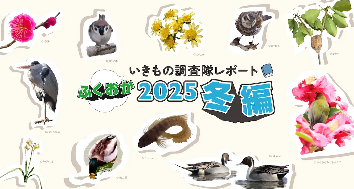 5ff039122f83ab4e1b6da2b43a98d7fb