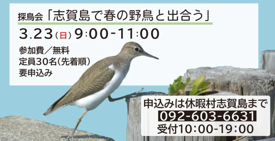 探鳥会「志賀島の野鳥と出合う」
