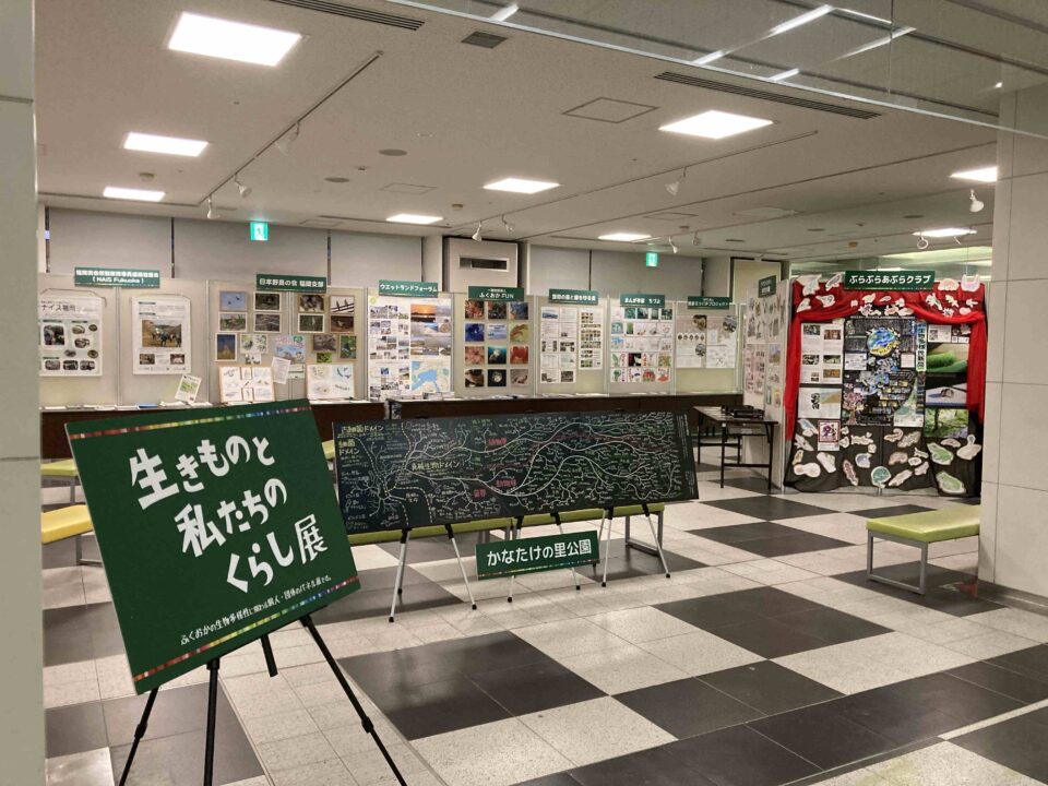 生きものと私たちのくらし展