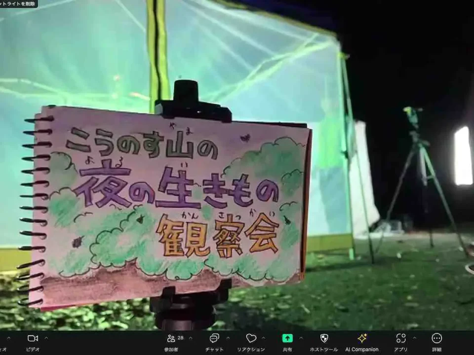 こうのす山の夜の生きもの観察会(オンライン)