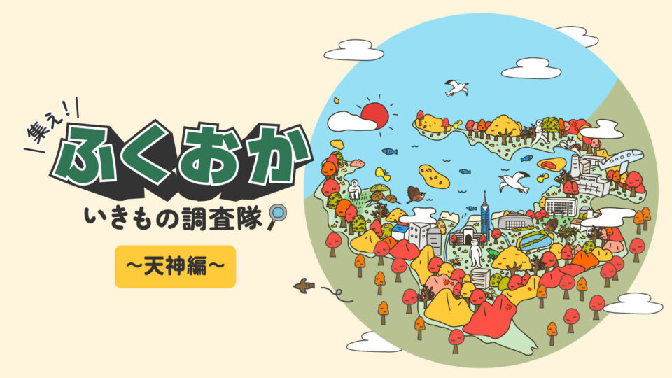 集え！ふくおかいきもの調査隊～天神編～