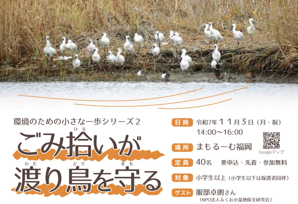 環境のための小さな一歩シリーズ2 ごみ拾いが渡り鳥を守る