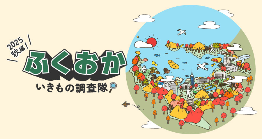 ふくおかいきもの調査隊イベント情報