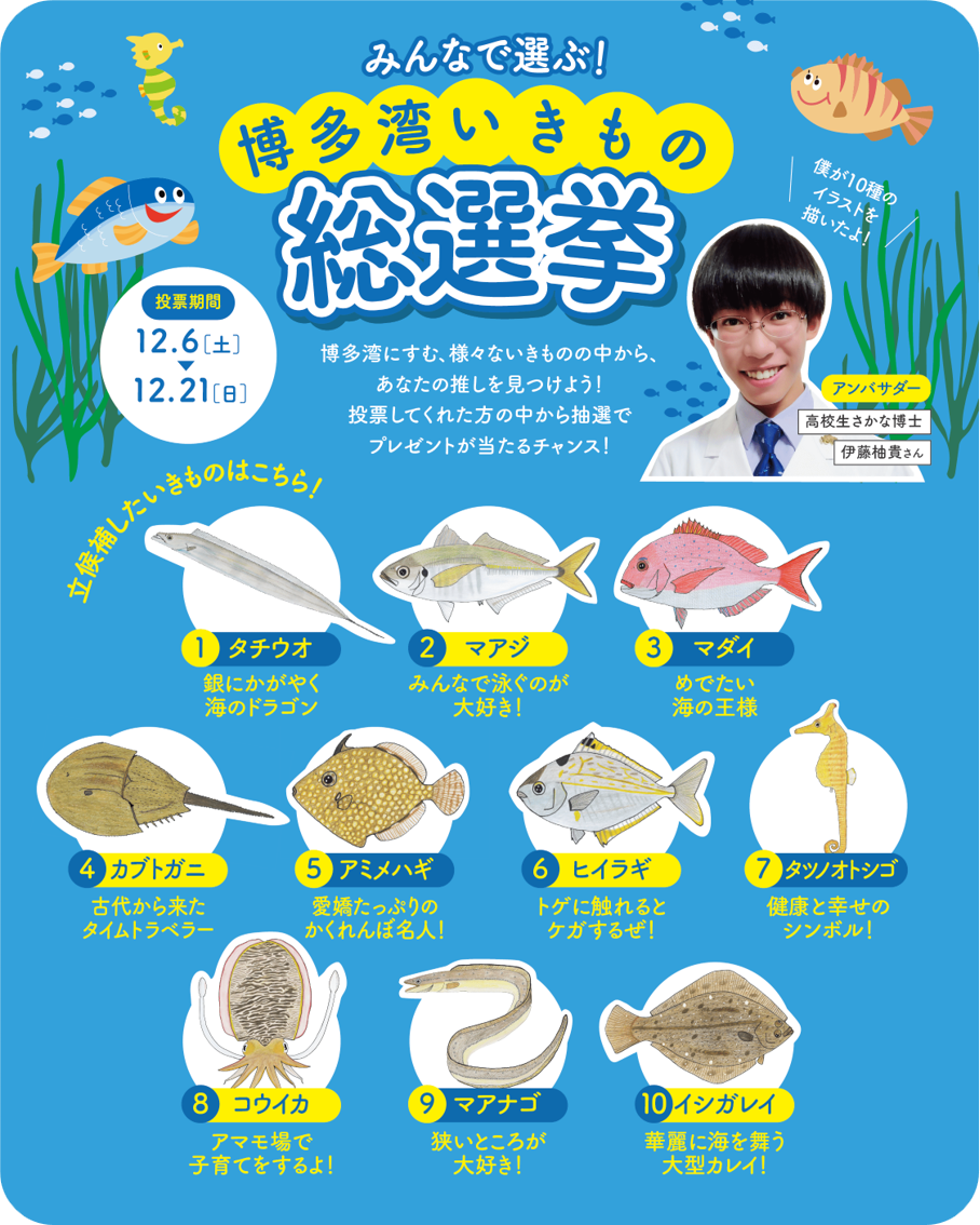 【投票受付】みんなで選ぶ！博多湾いきもの総選挙！