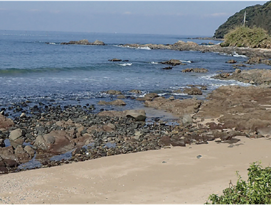 志賀島の磯