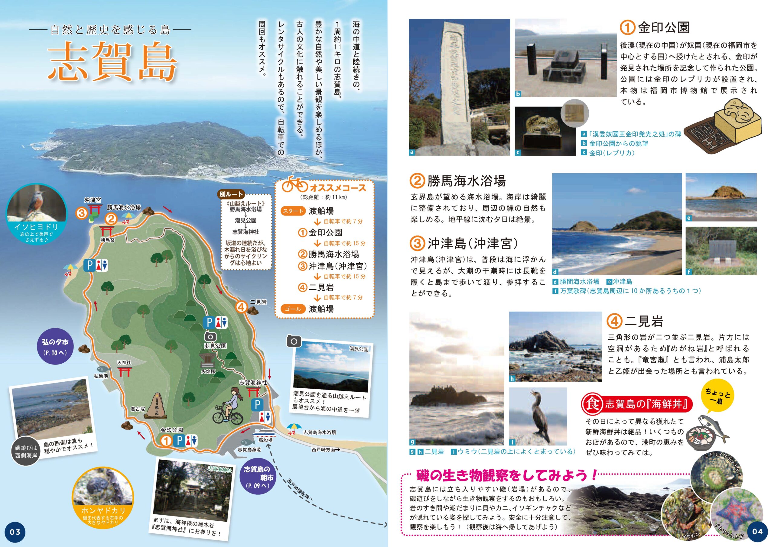 志賀島パンフレット