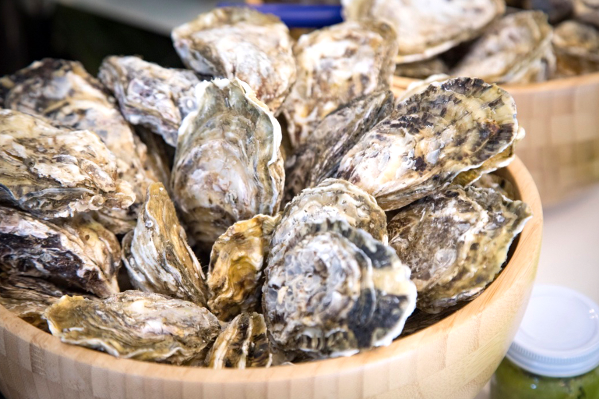 恵比須神社の名を構成に残す「唐泊恵比須かき」