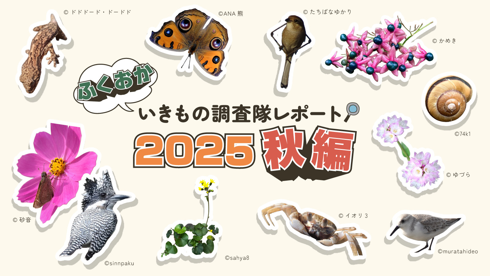 福岡市_2025調査結果アイキャッチ_A