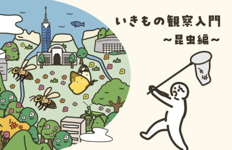 いきもの観察入門～昆虫編～