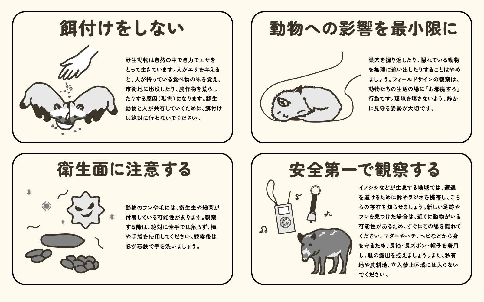 餌付けをしない
野生動物は自然の中で自力でエサをとって生きています。人がエサを与えると、人が持っている食べ物の味を覚え、市街地に出没したり、農作物を荒らしたりする原因（獣害）になります。

動物への影響を最小限に
巣穴を掘り返したり、隠れている動物を無理に追い出したりすることはやめましょう。フィールドサインの観察は、動物たちの生活の場に「お邪魔する」行為です。環境を壊さないよう、静かに見守る姿勢が大切です。

衛生面に注意する
動物のフンや毛には、寄生虫や細菌が付着している可能性があります。観察する際は、絶対に素手では触らず、棒や手袋を使用してください。観察後は必ず石鹸で手を洗いましょう。

安全第一で観察する
イノシシの生息地では、遭遇を避けるため、鈴などで存在を知らせましょう。新しい足跡やフンを見つけた場合は、近くに動物がいる可能性があるため、すぐにその場を離れてください。マダニやハチ、ヘビなどから身を守るため、長袖・長ズボン・帽子を着用し、肌の露出を控えましょう。また、私有地や農耕地、立入禁止区域には入らないでください。