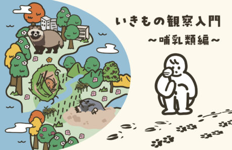 いきもの観察入門～哺乳類編～