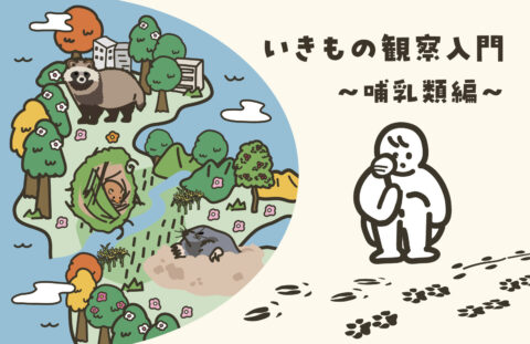 いきもの観察入門～哺乳類編～