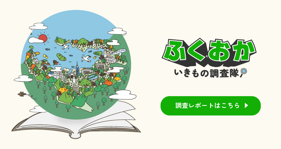 ふくおかいきもの調査隊、調査レポートはこちら！