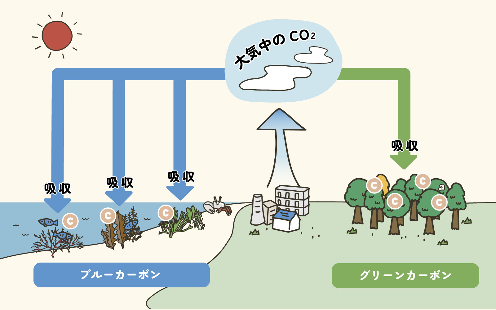 ブルーカーボンの概要図