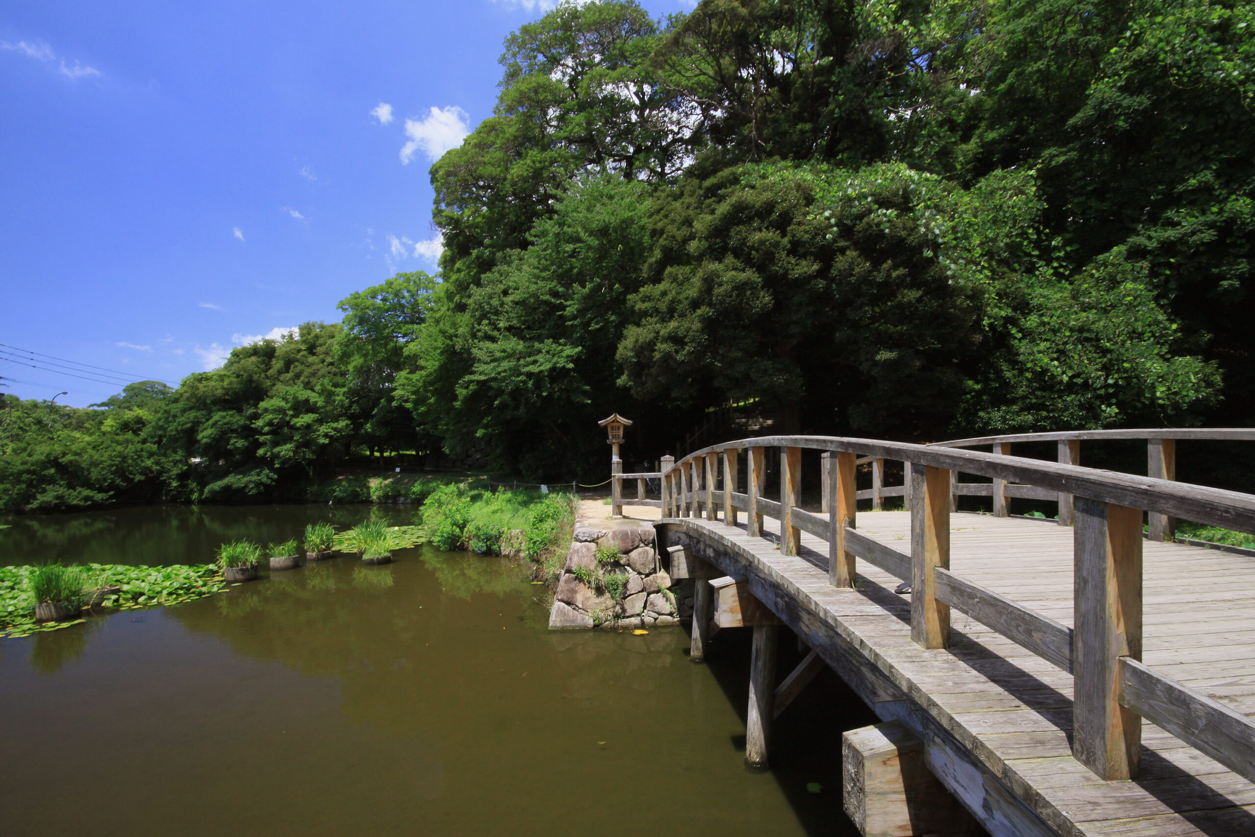 舞鶴公園の写真