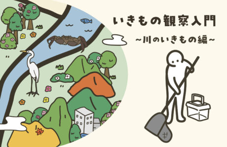 いきもの観察入門～川のいきもの編～
