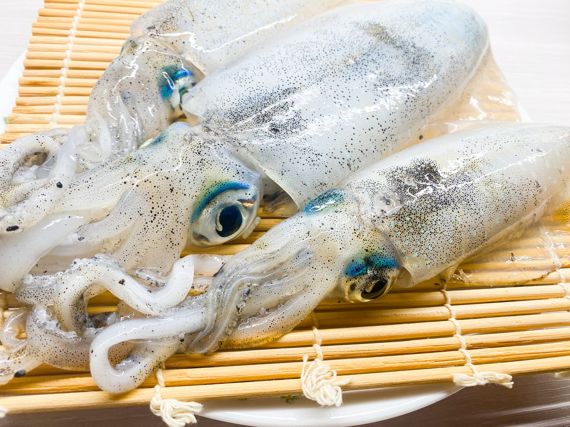 アオリイカの写真