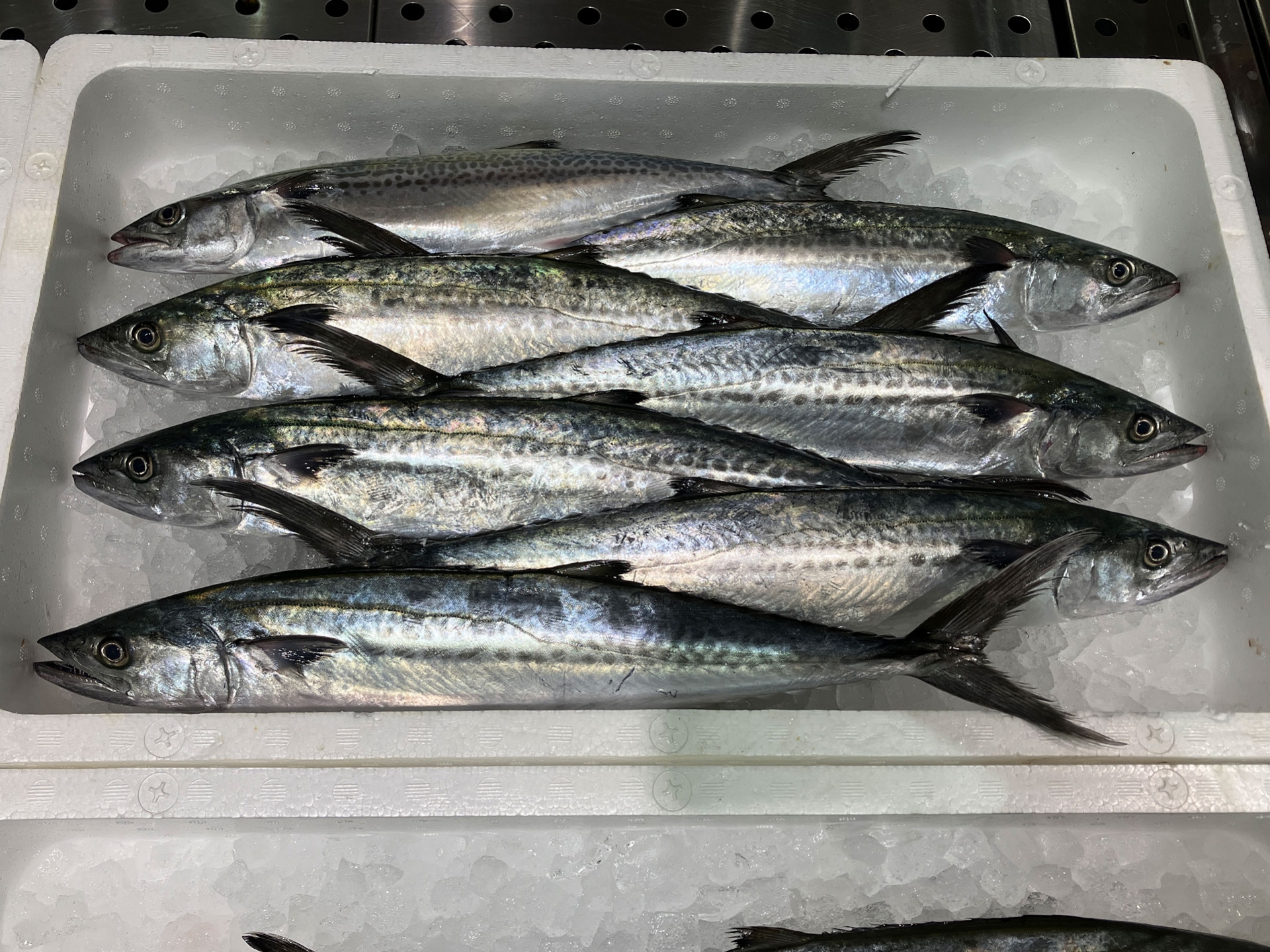 並べられたサワラ