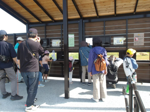 【アイランドシティはばたき公園】もっと鳥が好きになる！バードウォッチング