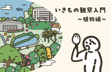 いきもの観察入門～植物編～
