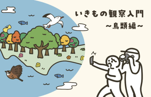 いきもの観察入門～鳥類編～