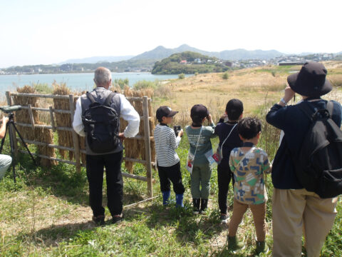 【アイランドシティはばたき公園】初心者向けバードウォッチング