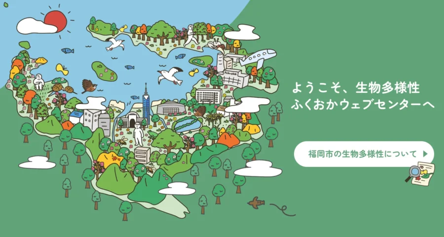 生物多様性ふくおかウェブセンターへようこそ。福岡市の生物多様性ページへ。