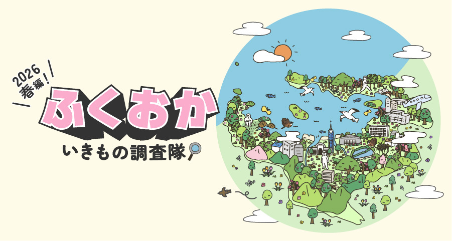 第3回ふくおかいきもの調査隊実施中！