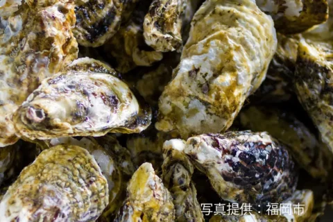 唐泊恵比須かき