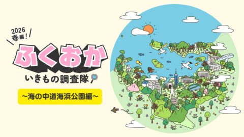 集え！ふくおかいきもの調査隊～海の中道海浜公園編～