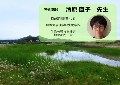 【アイランドシティはばたき公園】サポーター養成講座「植物博士入門①」