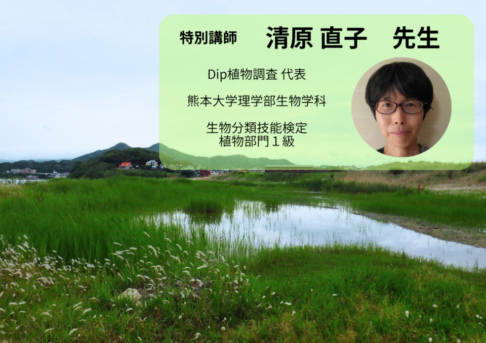 【アイランドシティはばたき公園】サポーター養成講座「植物博士入門①」