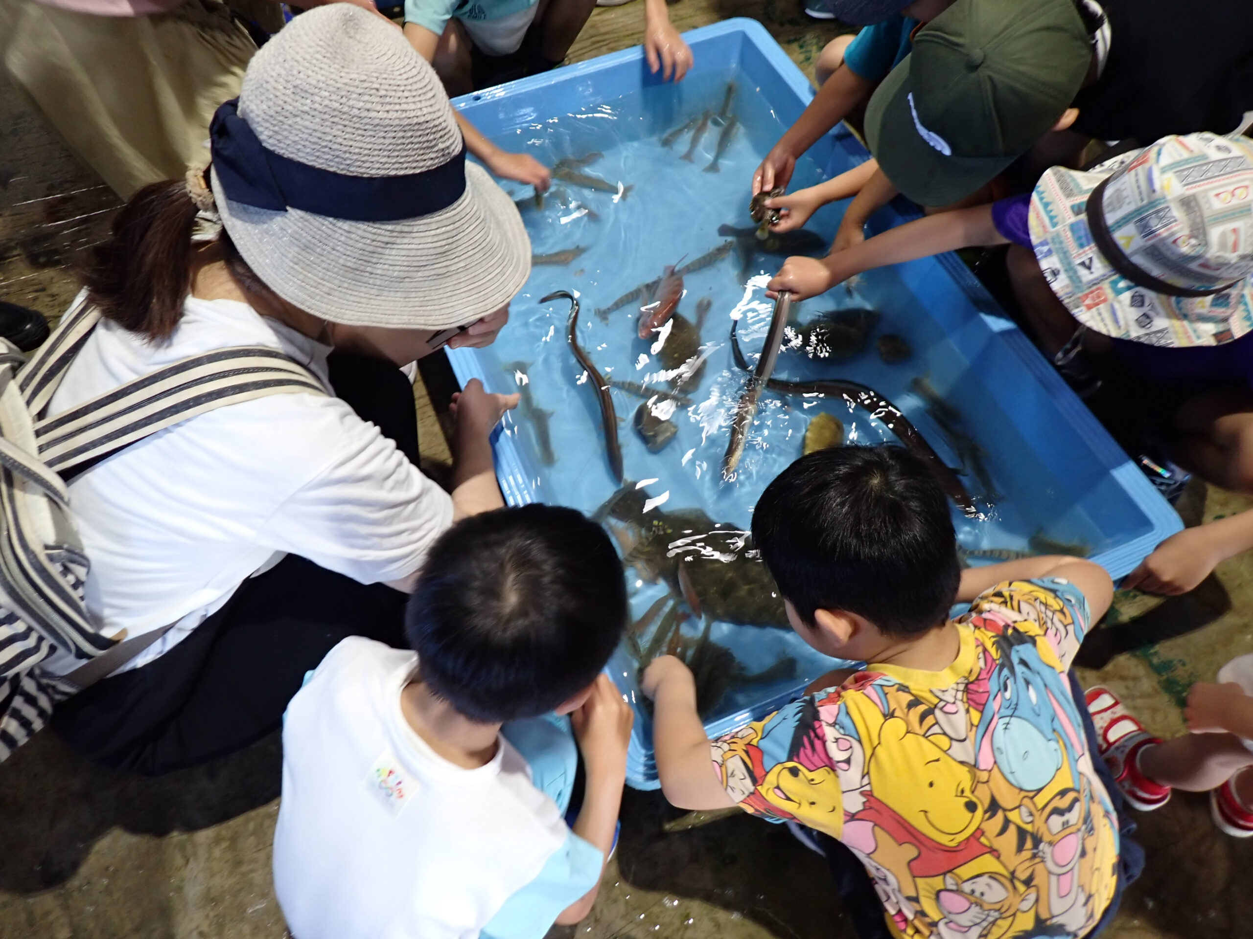 海の魚を触る様子
