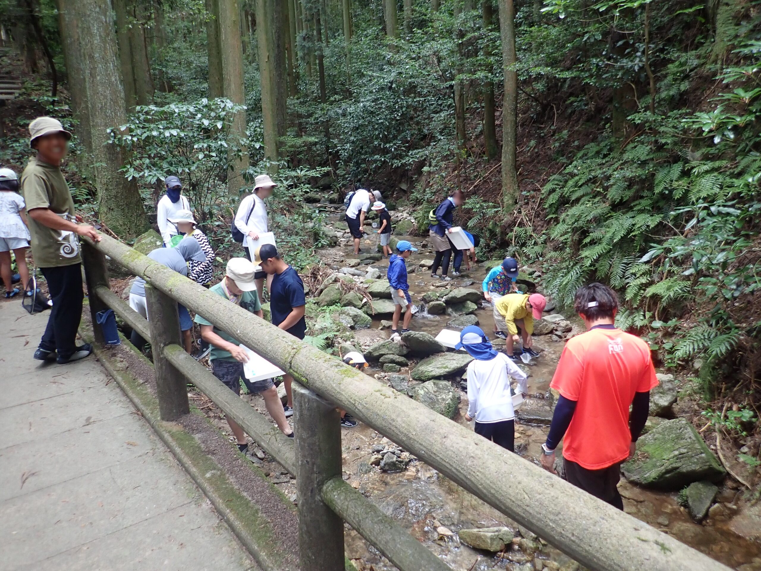 背振山での観察の様子
