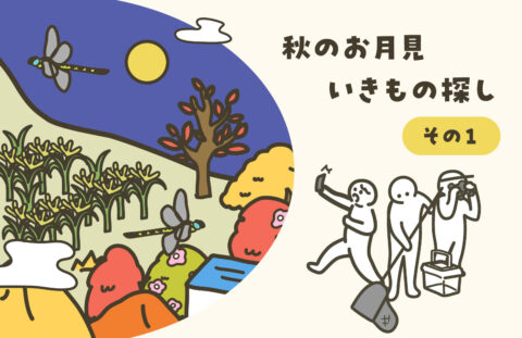 秋のお月見いきもの探し　その１