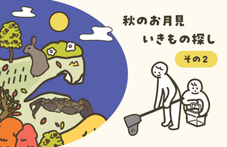 秋のお月見いきもの探し　その２